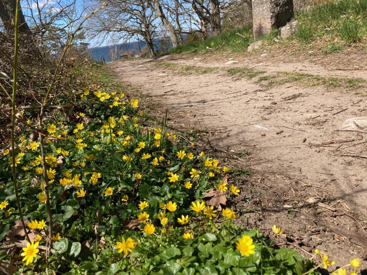 Villa Gunnabo Borgholm Esterno foto